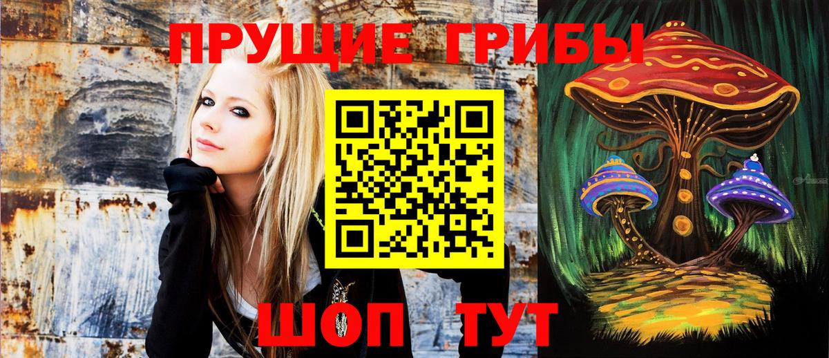 Псилоцибиновые грибы Psilocybe Феодосия