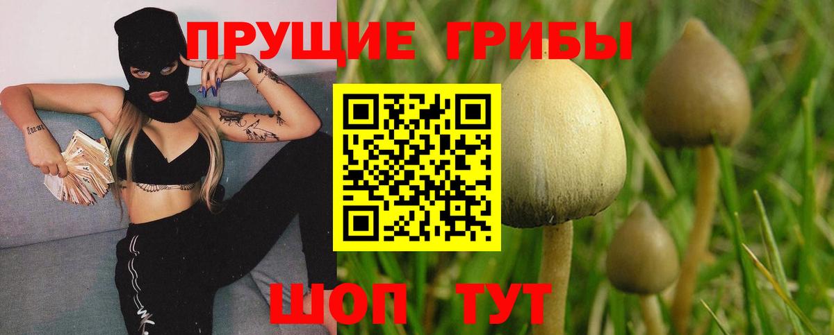 Псилоцибиновые грибы Magic Shrooms  Галлюциногенные грибы MAGIC MUSHROOMS  Феодосия  Вход с VPN 