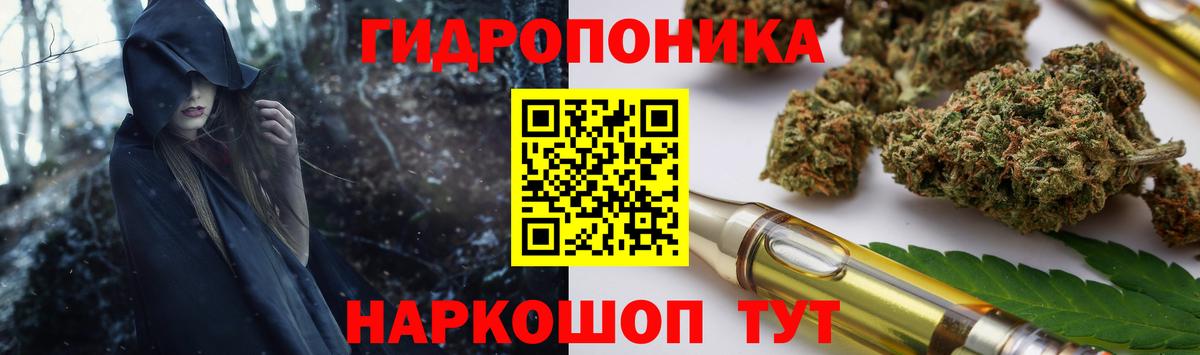 Конопля AK-47  Вход с VPN  Бошки Шишки семена  Феодосия  Марихуана марихуана 